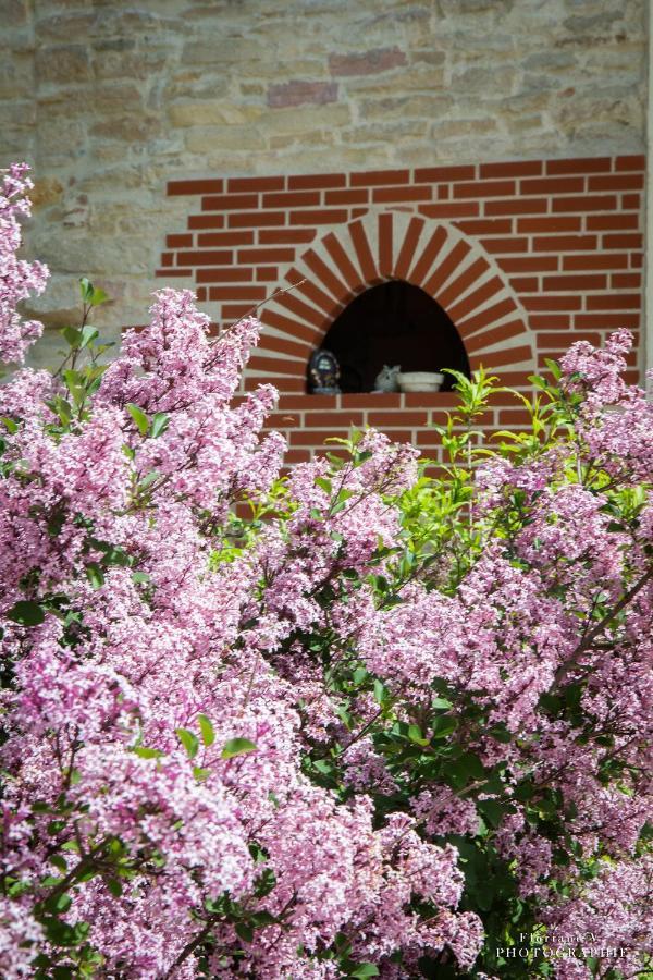 Bed and Breakfast Aux Mésanges Labergement-Foigney Exterior foto